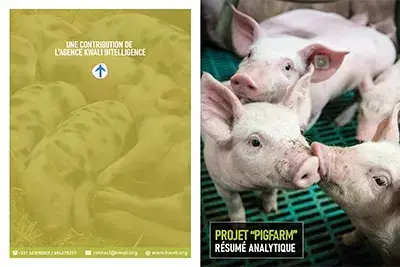 Projets projet pigfarm